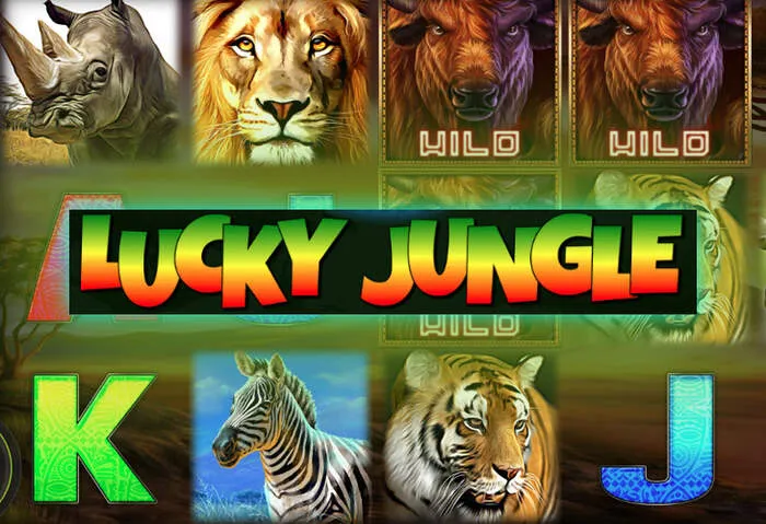 Kontakt z Rainbet Casino – zespół wsparcia dostępny non-stop