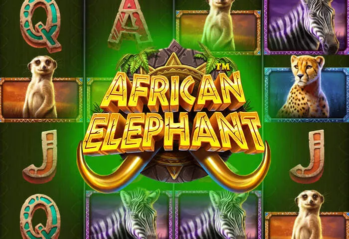 Rainbet Casino payment options for bonus offers.