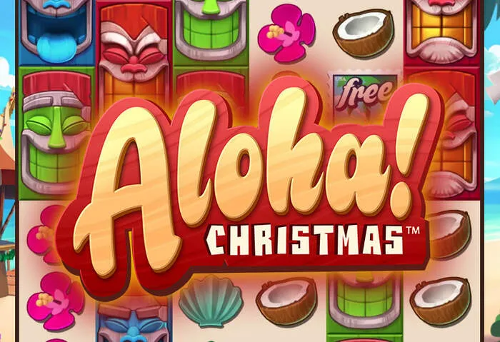 Casino Rainbet Slots: bônus e rodadas grátis em um emocionante jogo de slot.