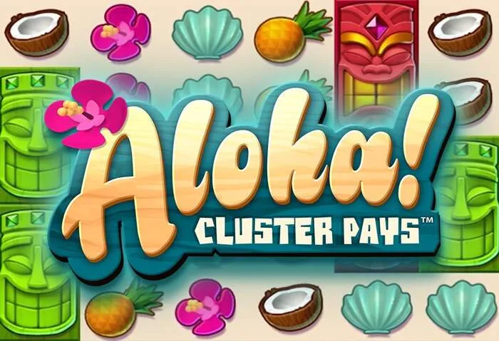 सर्वोत्तम Rainbet casino रिव्यू और रेटिंग