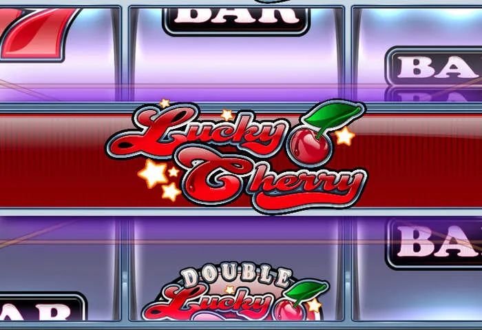 Explorez l'univers de Rainbet casino en ligne divertissant.