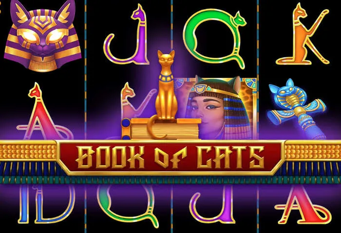 Bogata oferta Rainbet kasyno online.