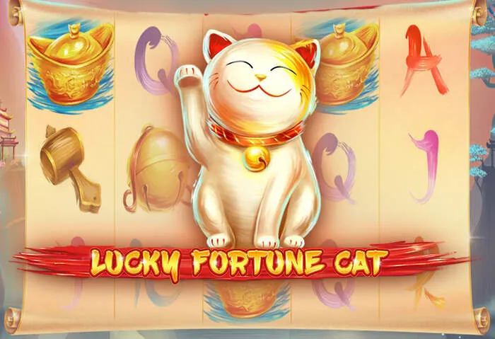Tabla de límites y tiempos para retirar ganancias de Rainbet Casino