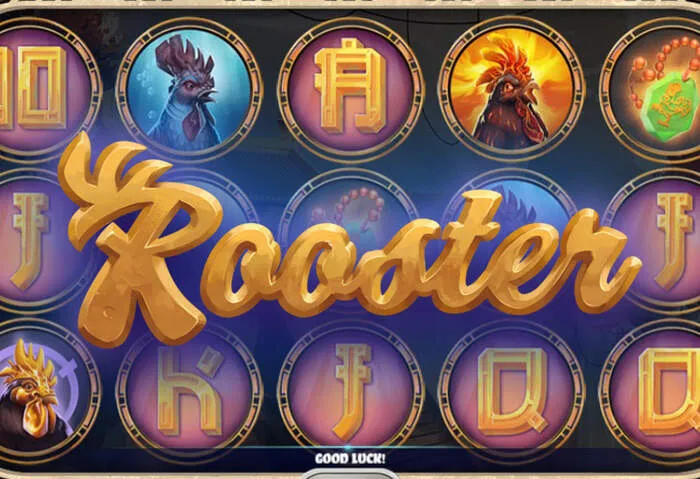 Jetzt Rainbet Slots spielen und große Gewinne sichern