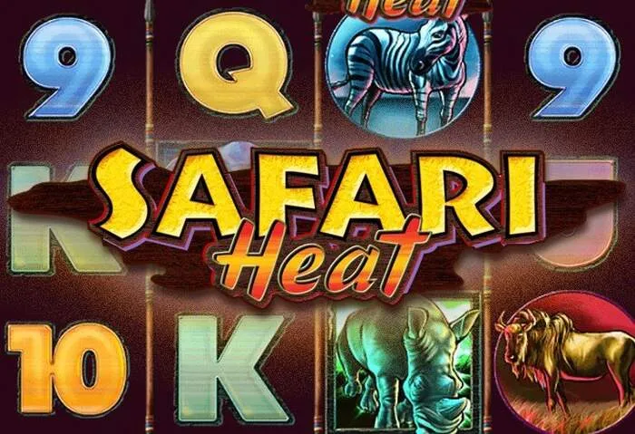 Duidelijke Rainbet bonus inzetvoorwaarden.
